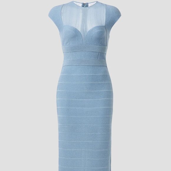 Herve Leger Dresses & Skirts - Herve Leger Sheer Bustier Gown M